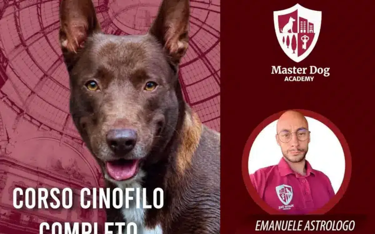 Download Corso Cinofilo Completo – Master Dog