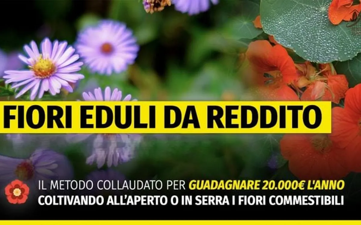 Download Fiori Eduli da reddito MASTER – Rendita Agricola