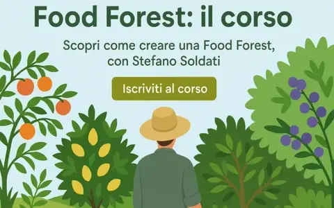 Download Food Forest – Bosco di Ogigia