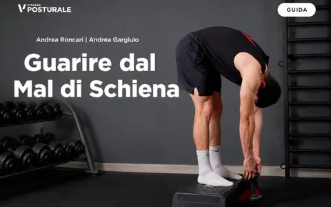 Download Guarire dal Mal di Schiena – Project InVictus