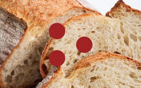Download Il Pane con Lievito Madre e Lievito Misto – Fudemy