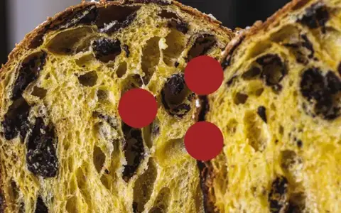 Download Il Panettone e la Colomba – Fudemy