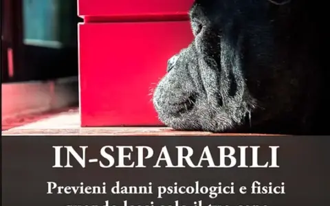 Download In-Separabili – Fantasticane