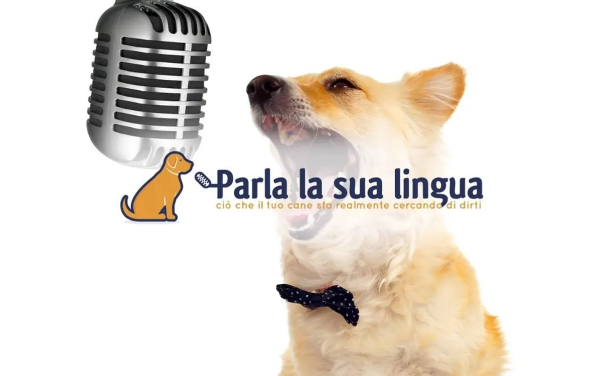 Download Parla la sua lingua – Fantasticane