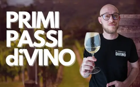 Download Primi Passi di Vino – Il Sommelier Divino