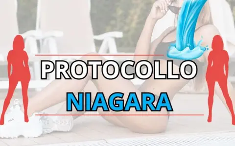 Download Protocollo Niagara – Luca di Approcciala.it