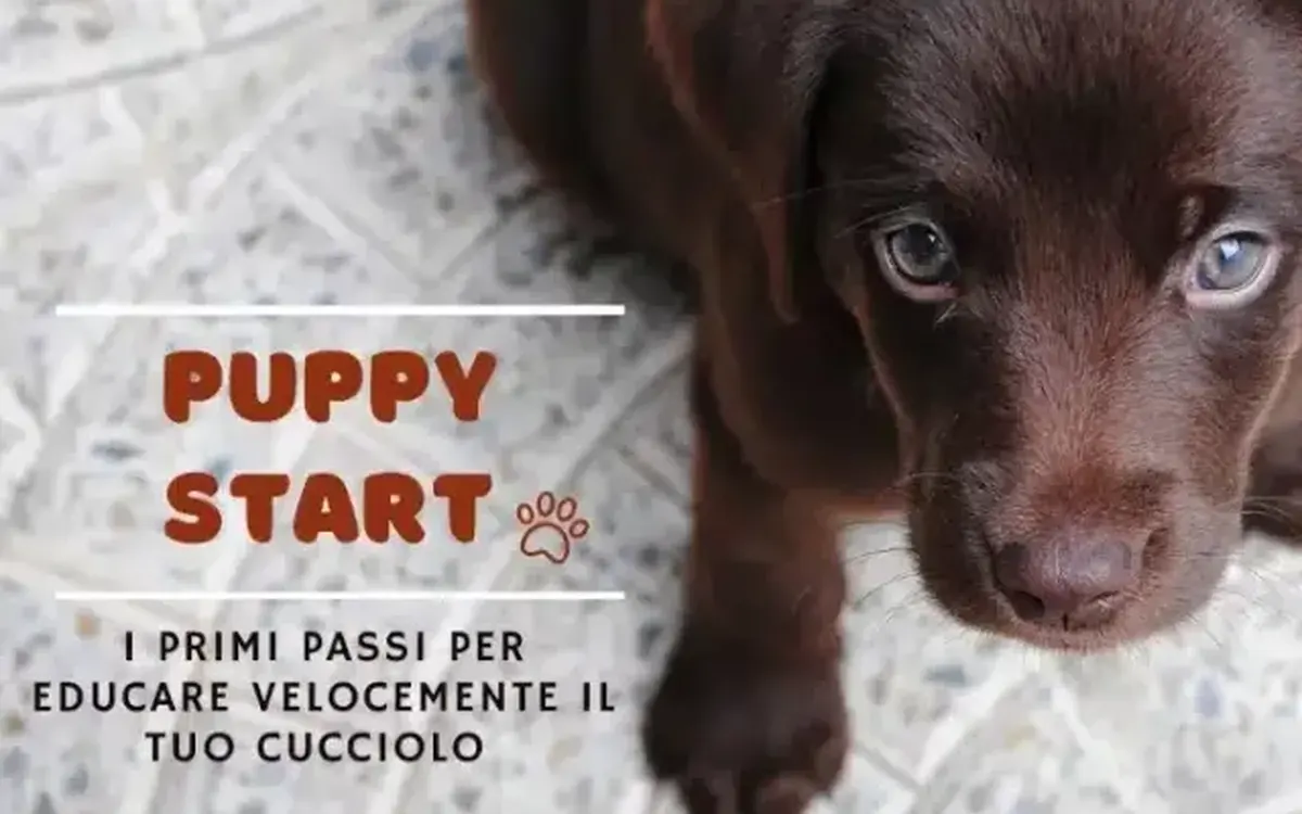 Download Puppy Start – Educazione Cinofila