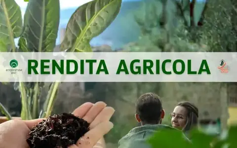 Download Rendita Agricola – Ecosystem BSC