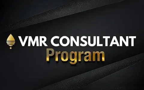 Download VMR Consultant Program – Roberto Maria Vadalà